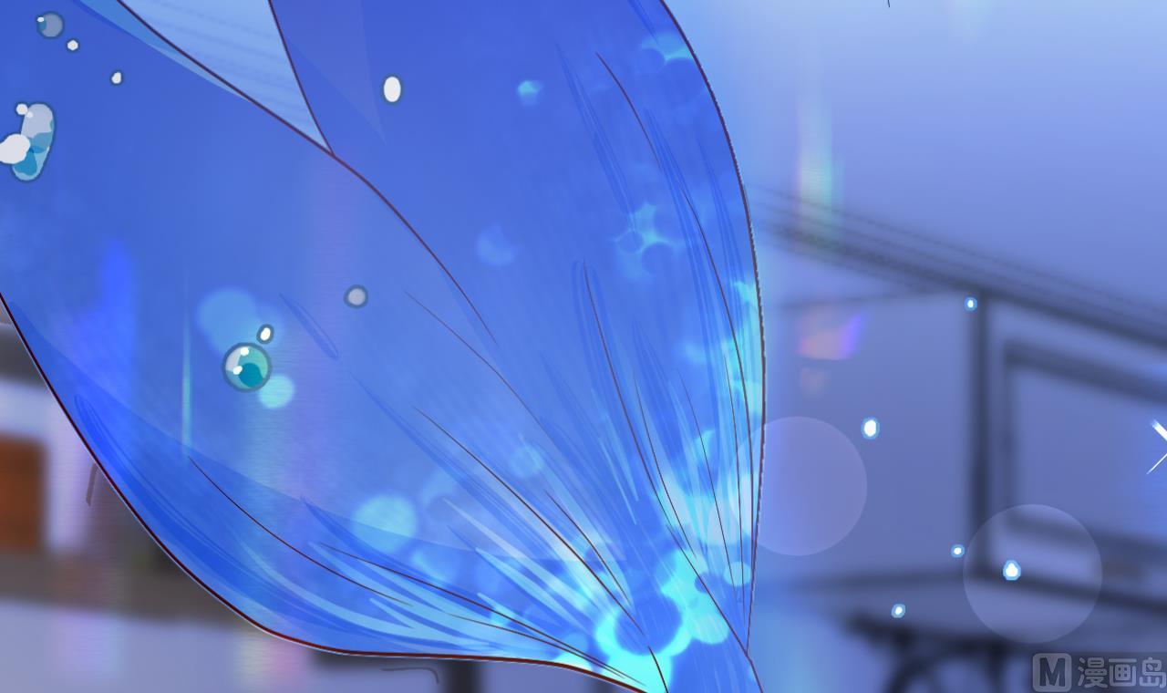 第0话  预告-第2话