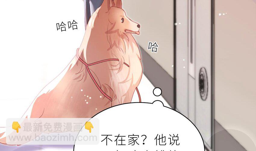 12 第9话  鱼脸都丢尽了(1/3)-第12话