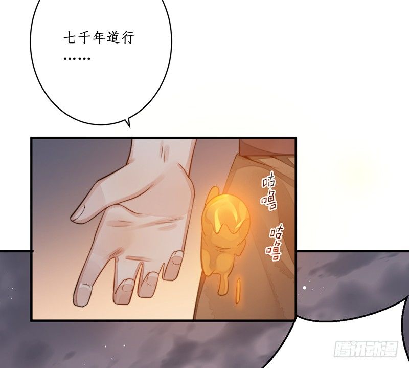 第十二话：情花之哀3-第12话