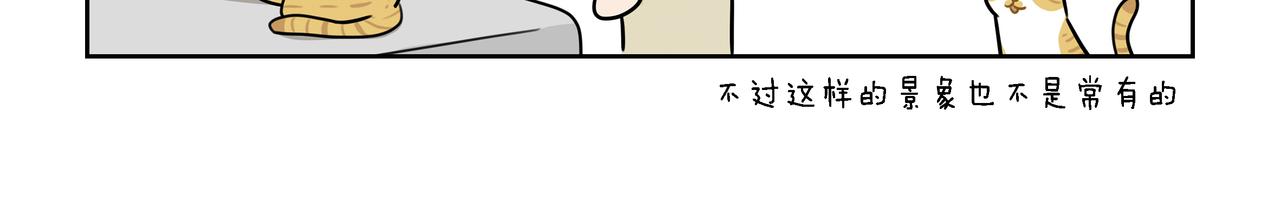 【22-24】话-第8话