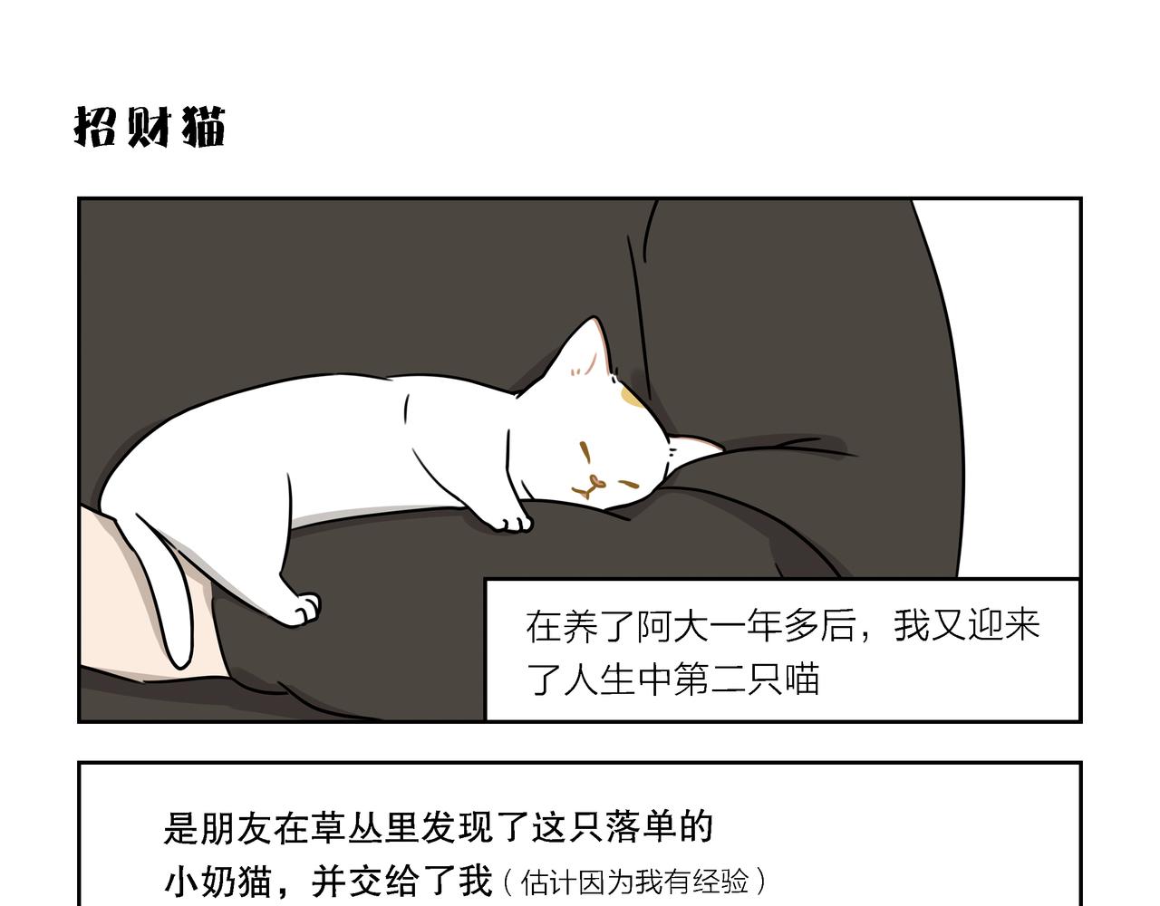 【22-24】话-第8话