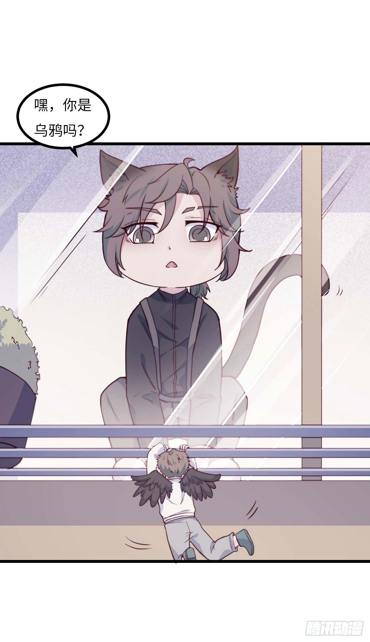 【特别篇】是乌鸫不是乌鸦1-第134话