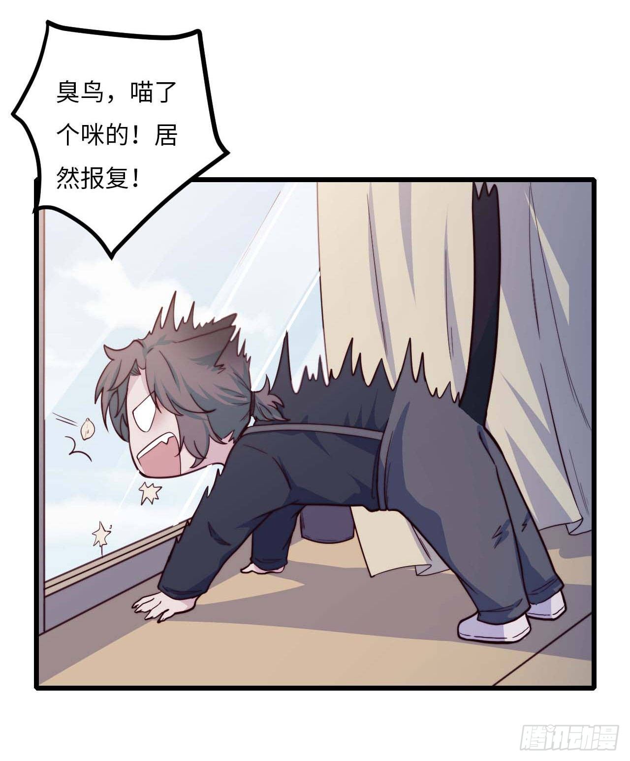 【特别篇】是乌鸫不是乌鸦1-第134话