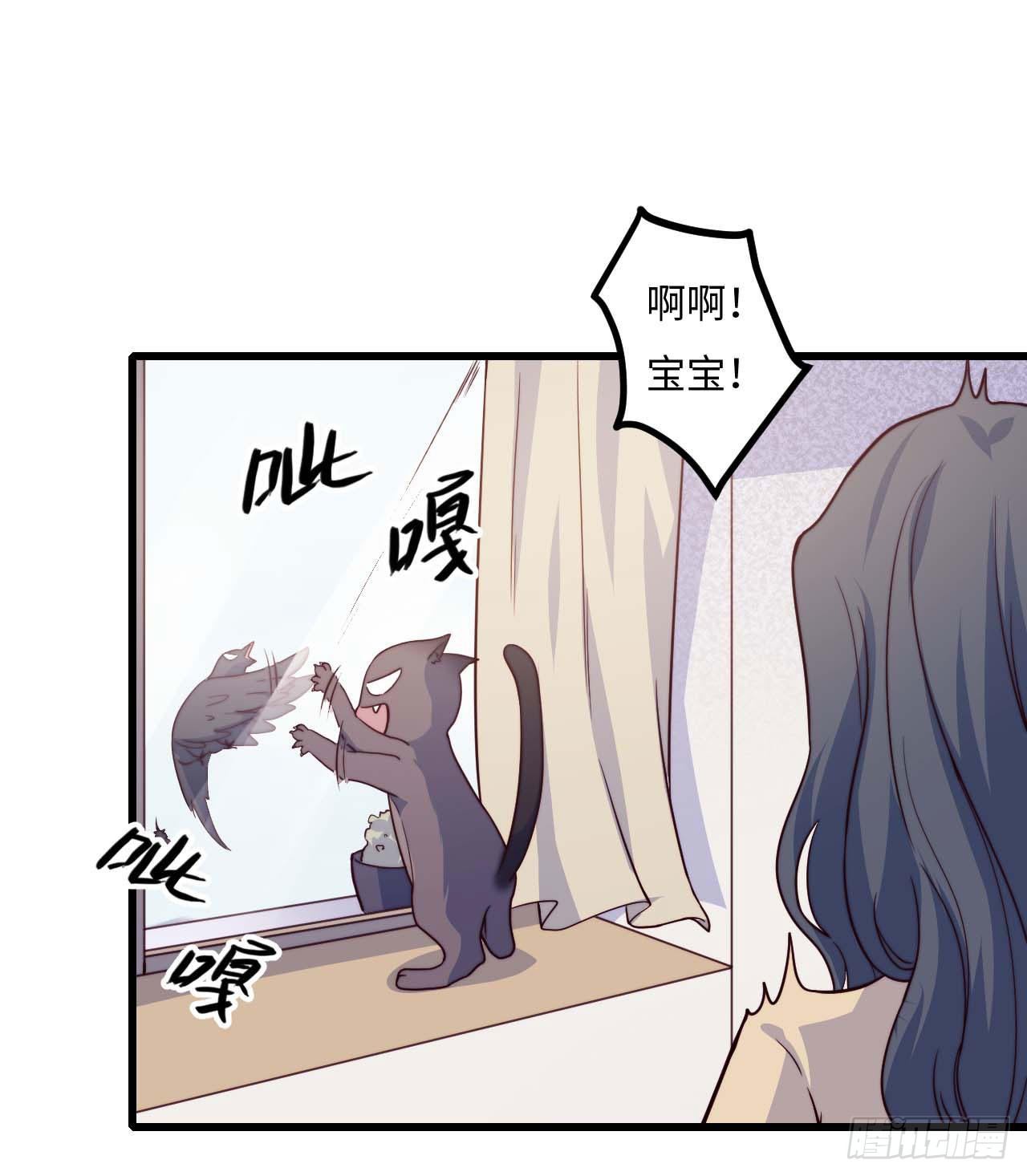 【特别篇】是乌鸫不是乌鸦1-第134话