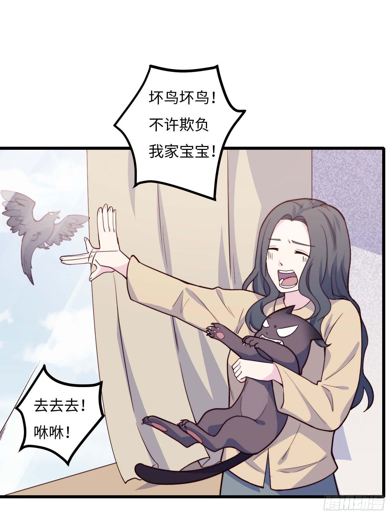 【特别篇】是乌鸫不是乌鸦1-第134话