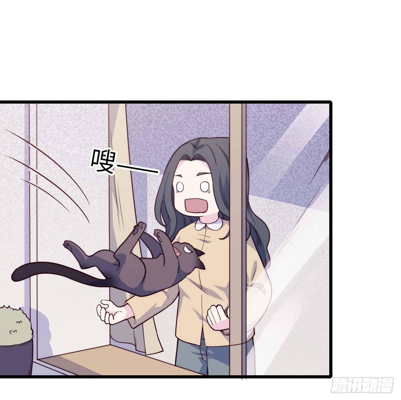 【特别篇】是乌鸫不是乌鸦1-第134话