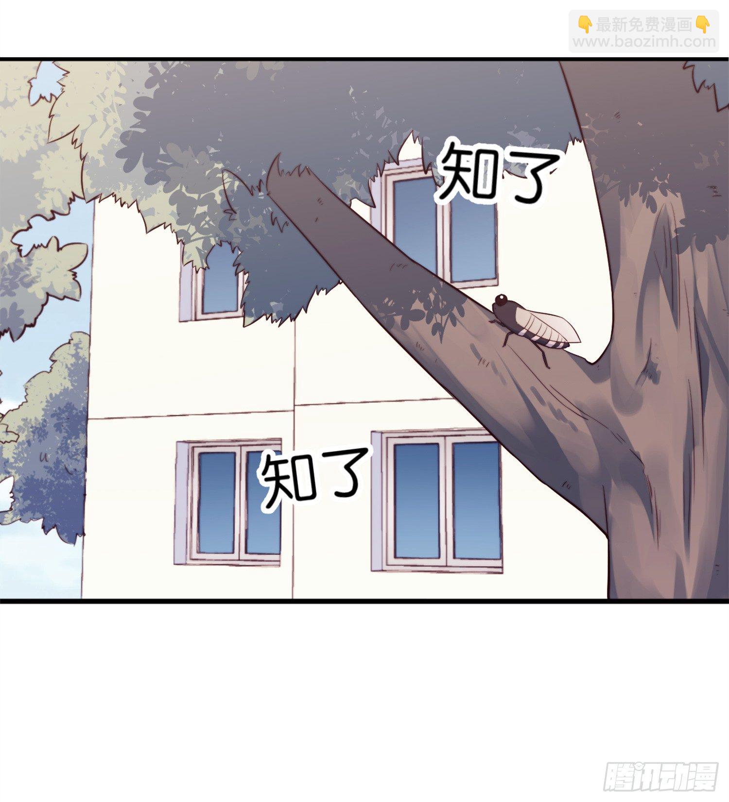 【第23话】遥控器失踪之谜-第26话