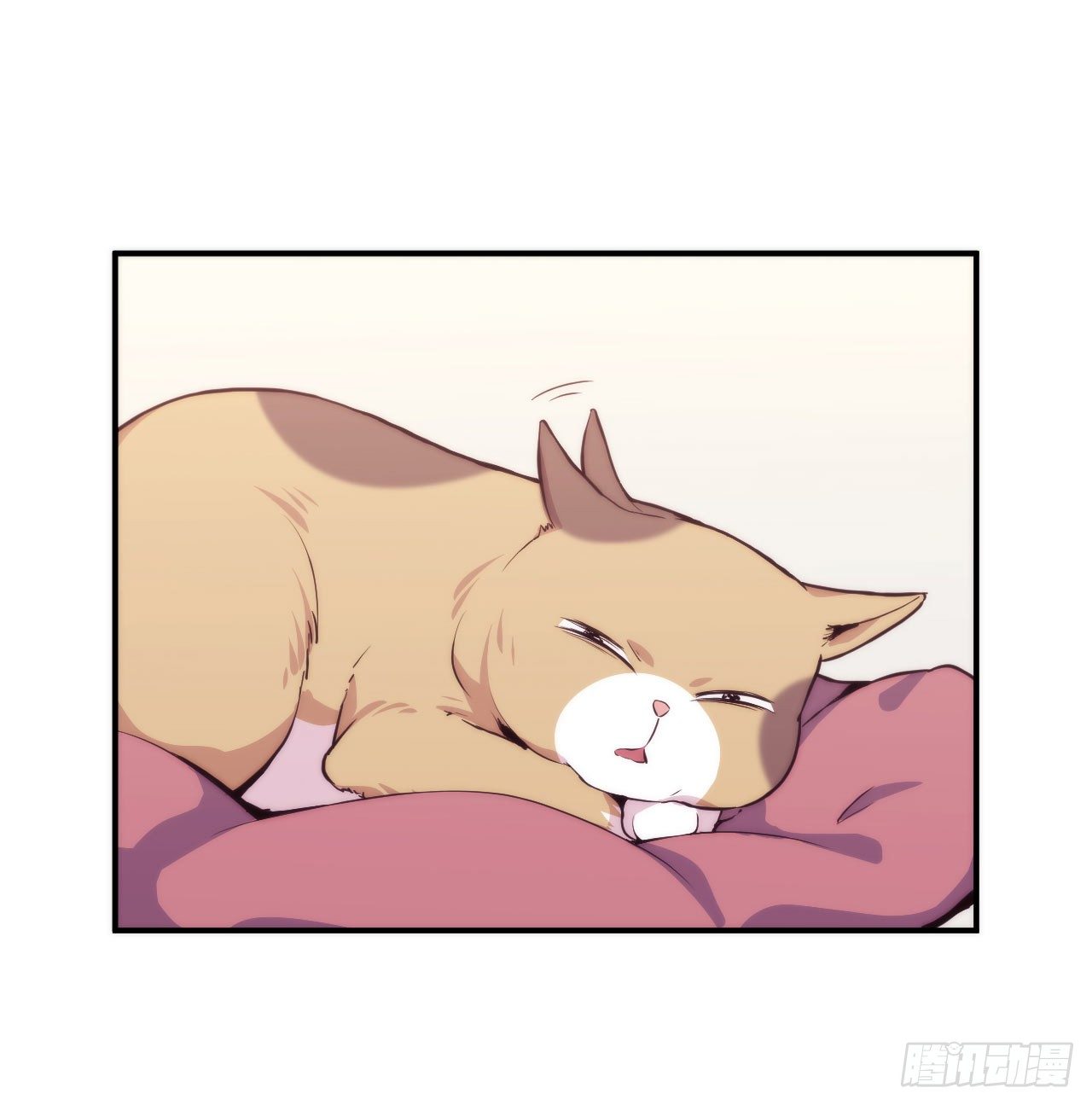 【第5话】猫的报恩-第6话