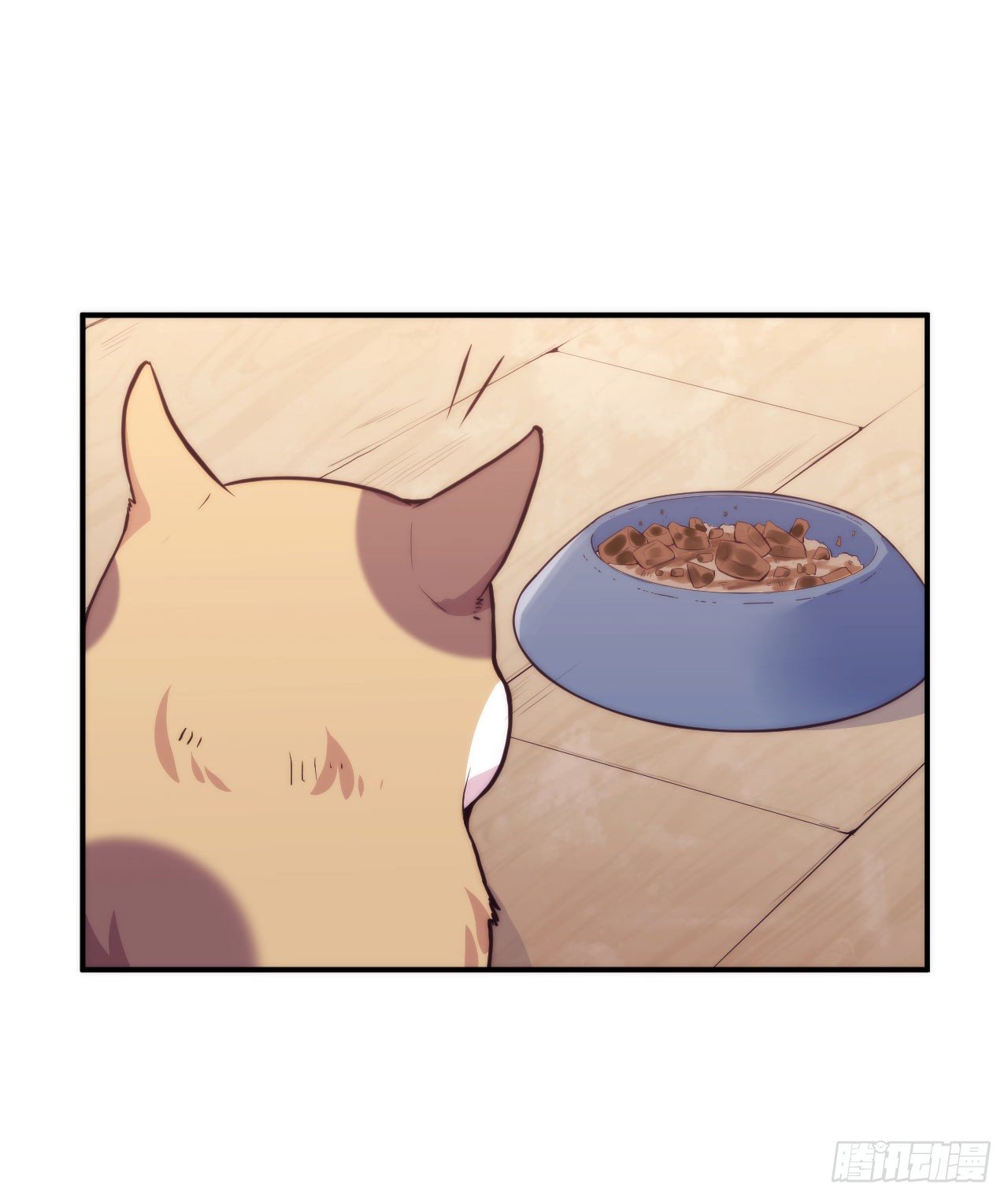 【第5话】猫的报恩-第6话