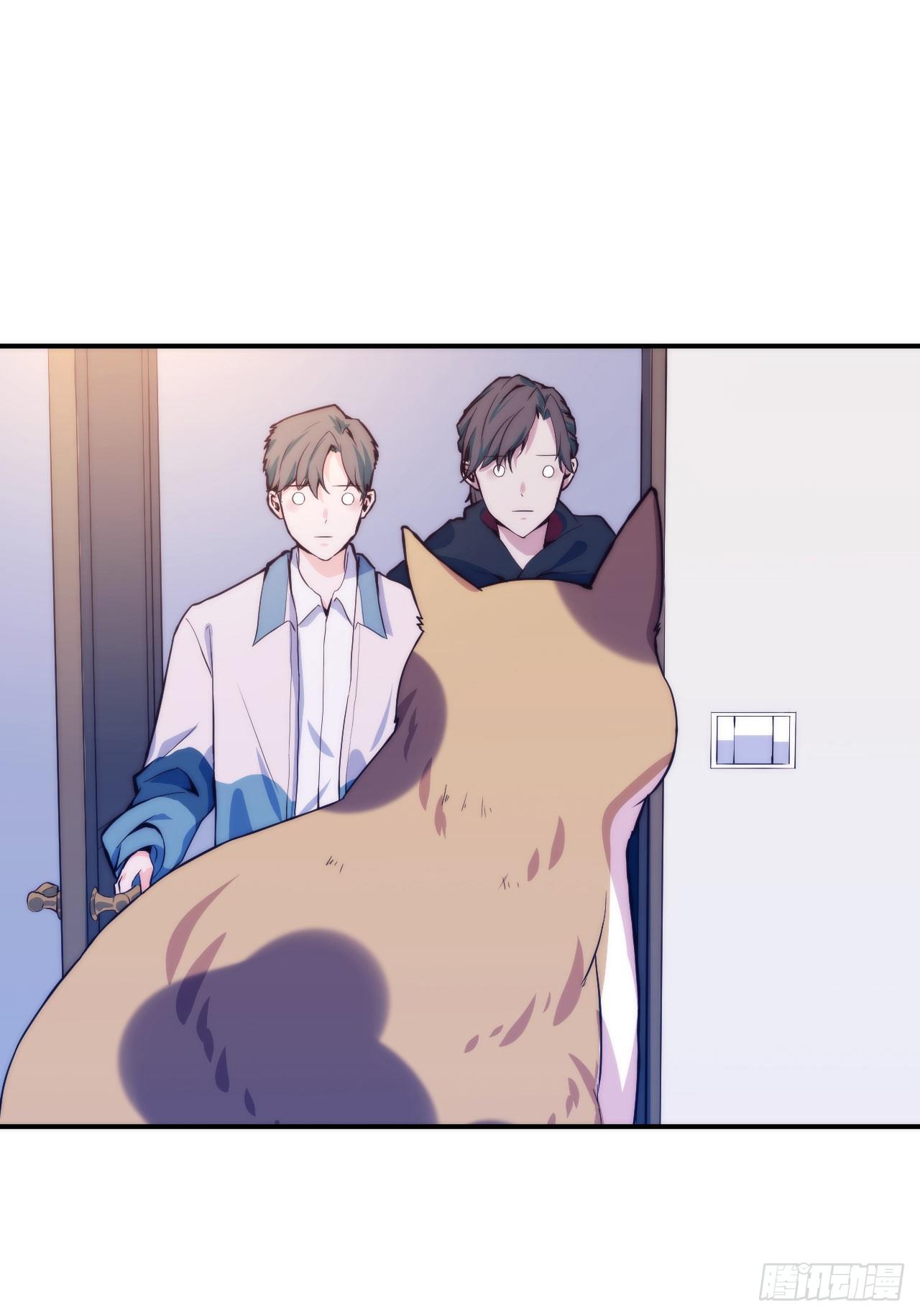 【第5话】猫的报恩-第6话