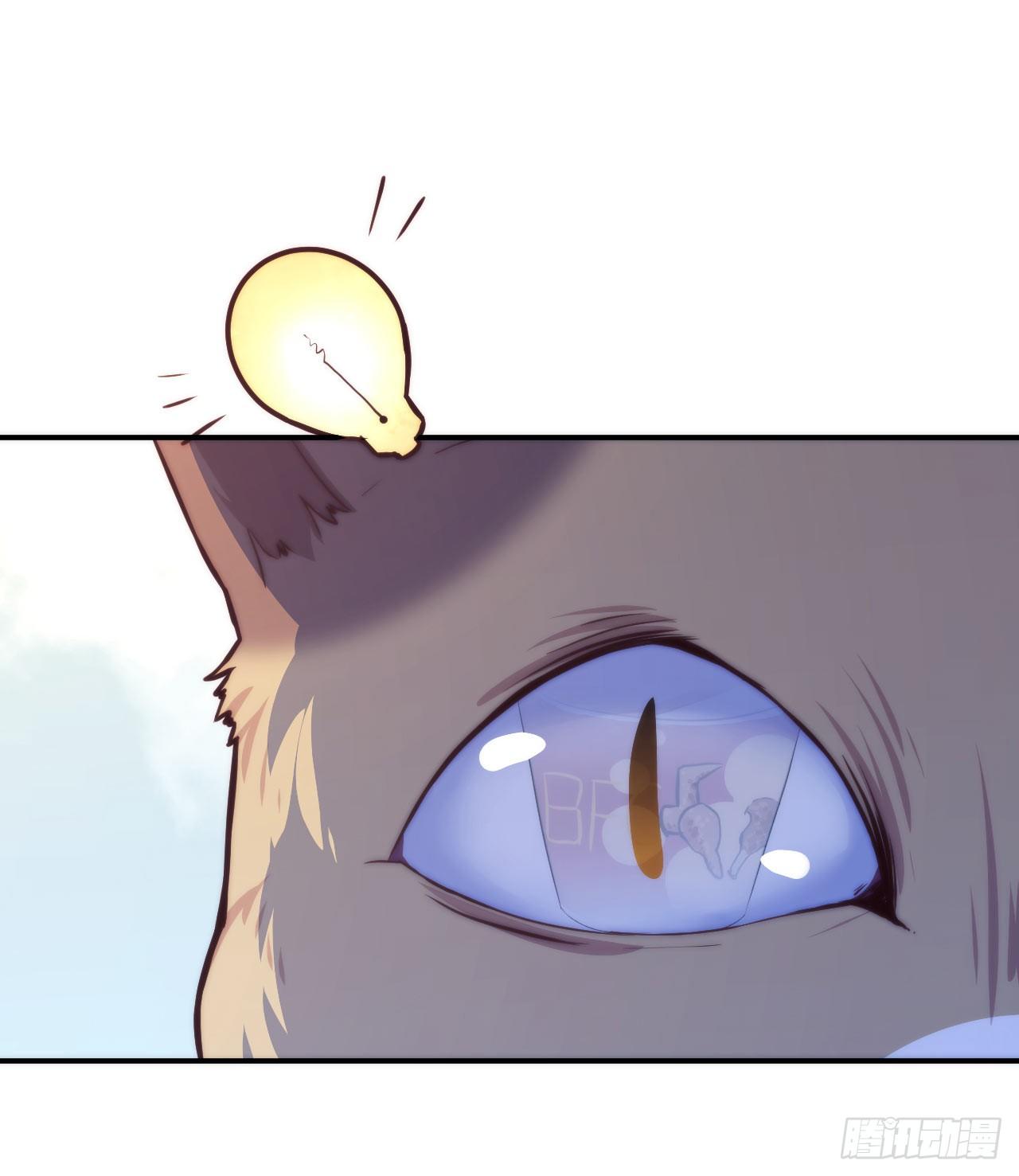 【第5话】猫的报恩-第6话