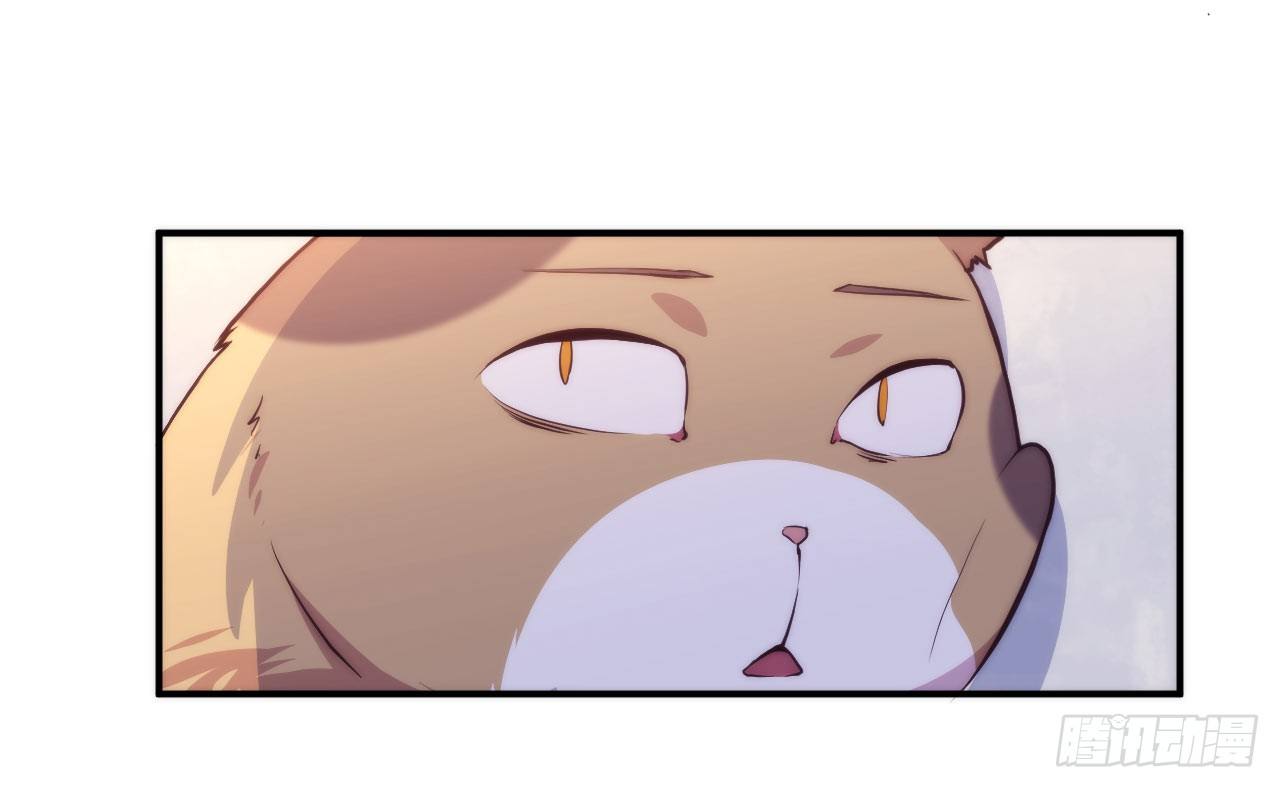 【第5话】猫的报恩-第6话