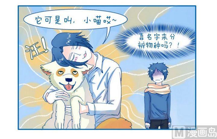 第98话  小喵是只狗-第98话