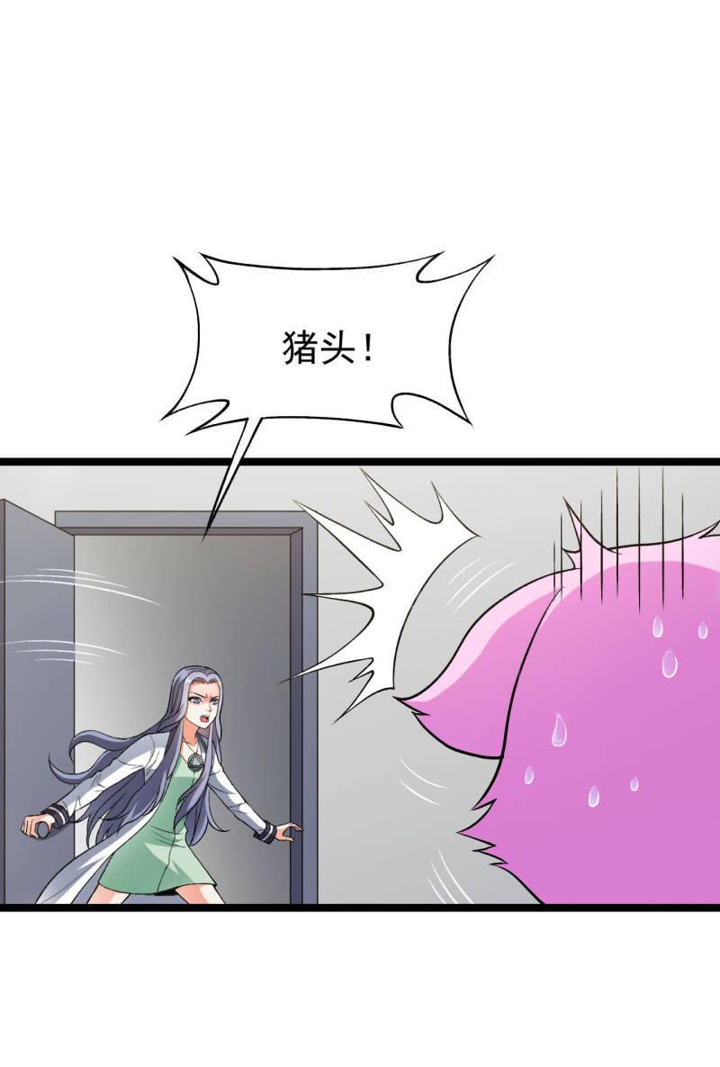 第51话 飞来横祸直接砸成红烧肉-第52话