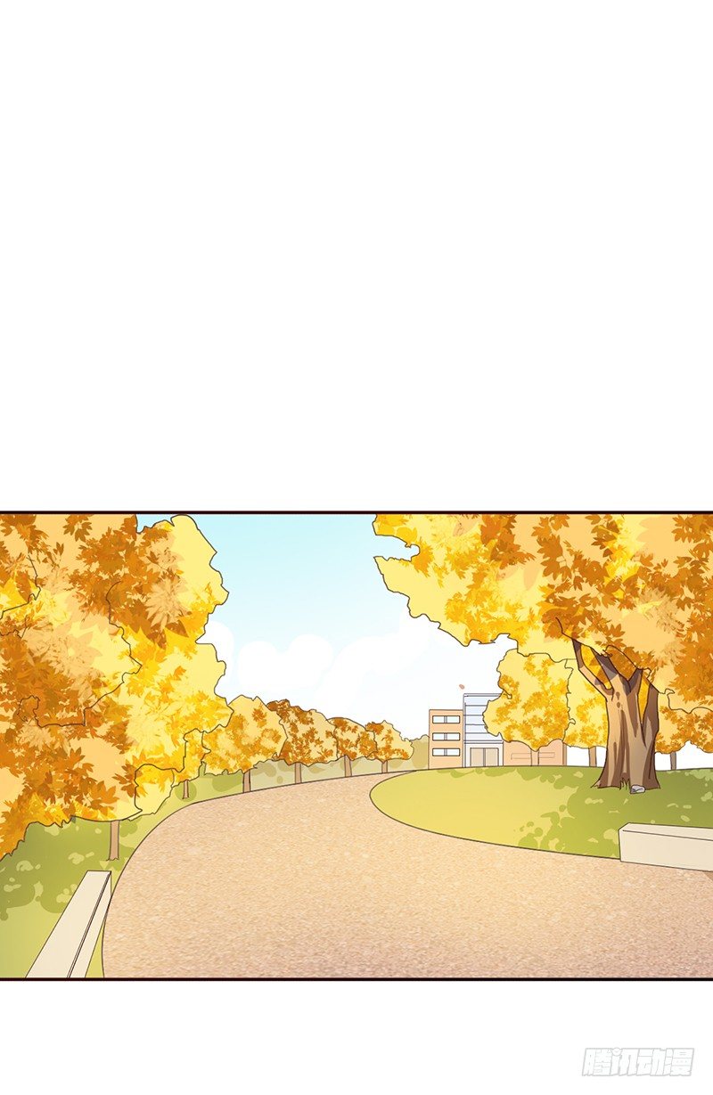 第36话：这是个傻子吗？-第36话