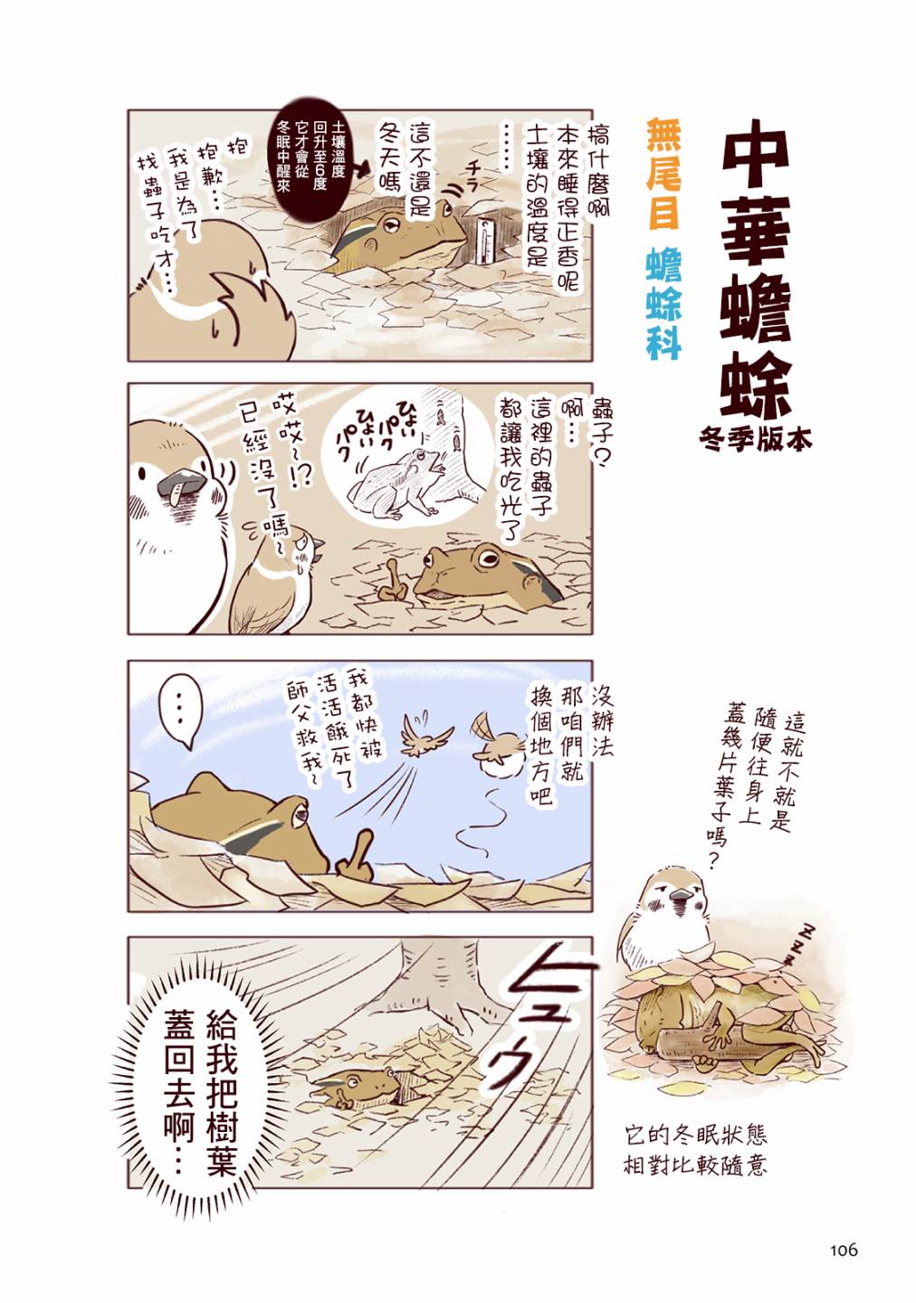 野生動物竟在我身邊 - 冬 - 6