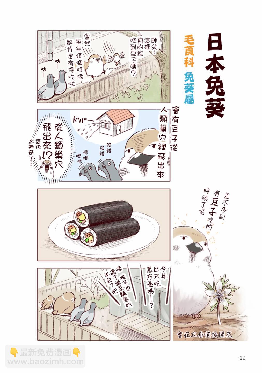 野生動物竟在我身邊 - 冬 - 2