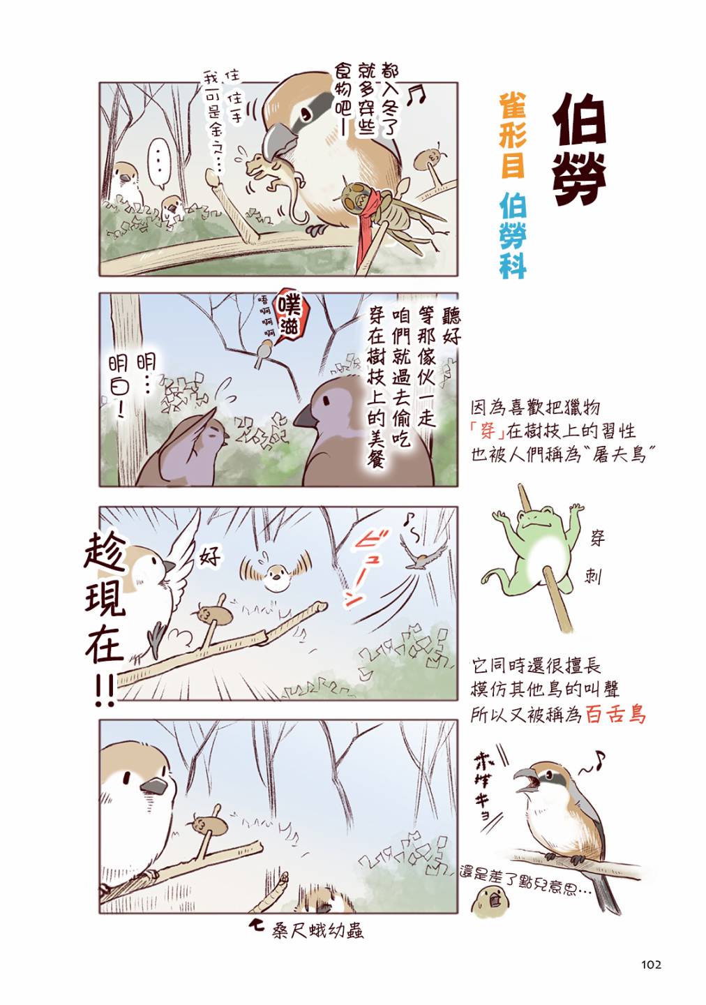 野生動物竟在我身邊 - 冬 - 2