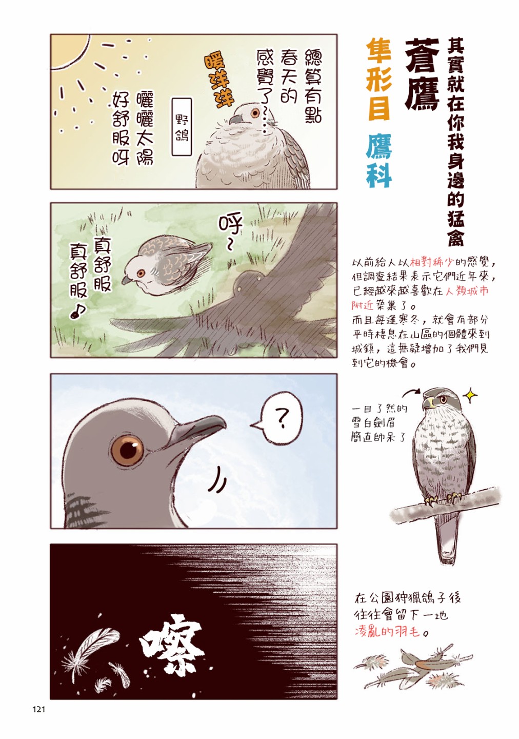 野生動物竟在我身邊 - 2卷-冬 - 2