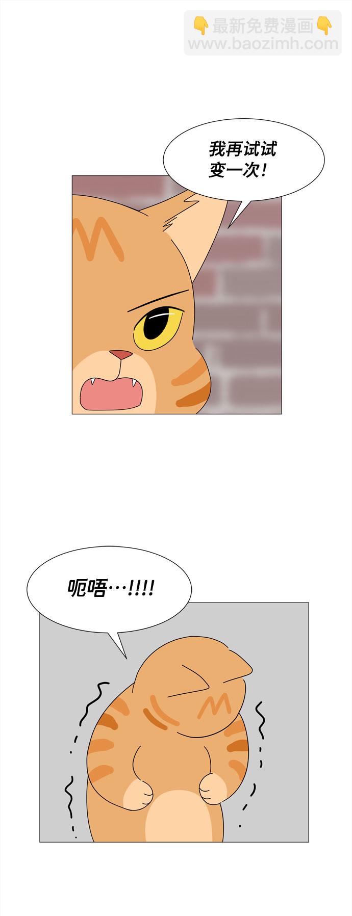 野生天使保護區域 - 第14話 找到恩好（1） - 5