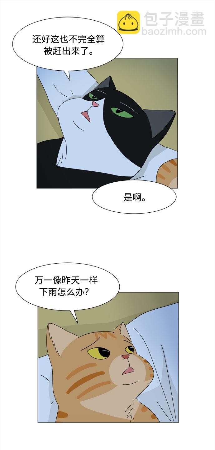 野生天使保護區域 - 第4話 天使們的星星(1/2) - 5