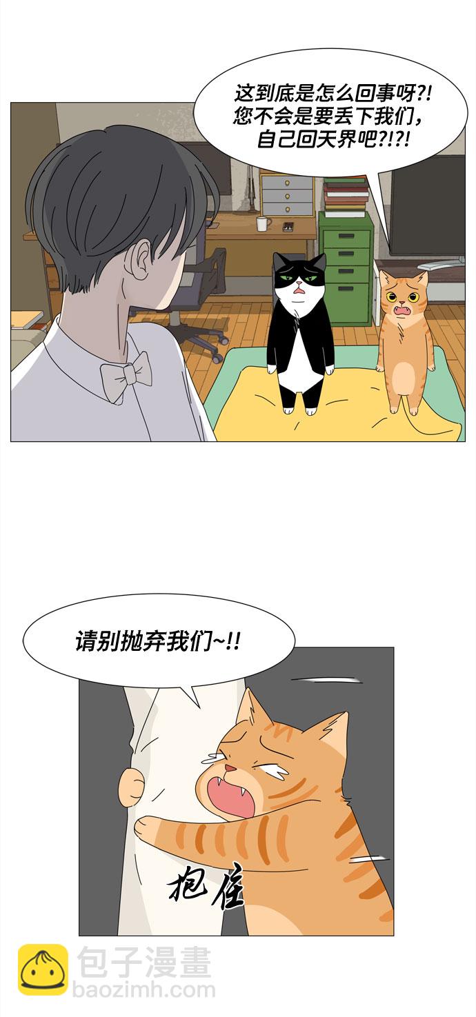 野生天使保護區域 - 第4話 天使們的星星(1/2) - 4