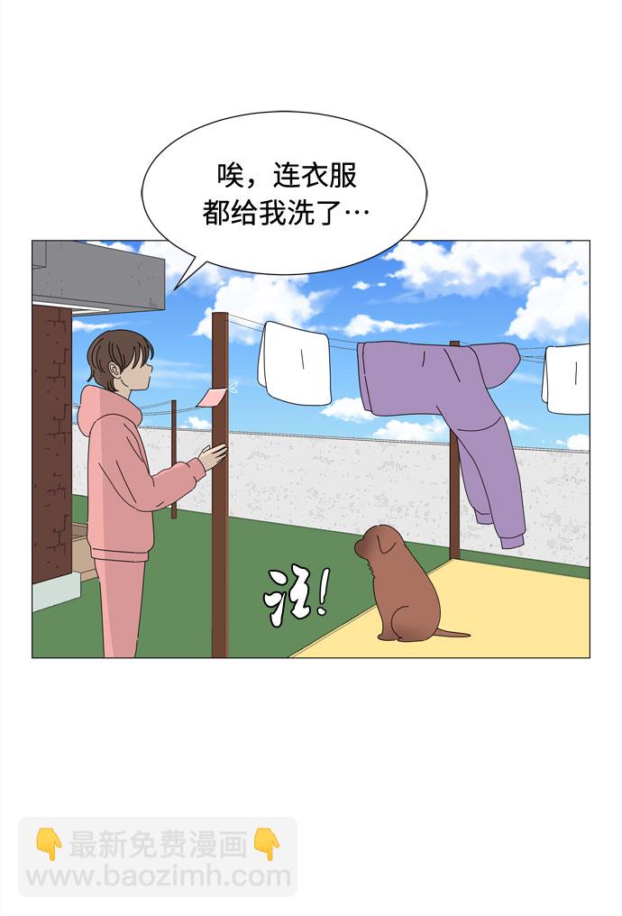 野生天使保護區域 - 第70話 離別(1/2) - 1