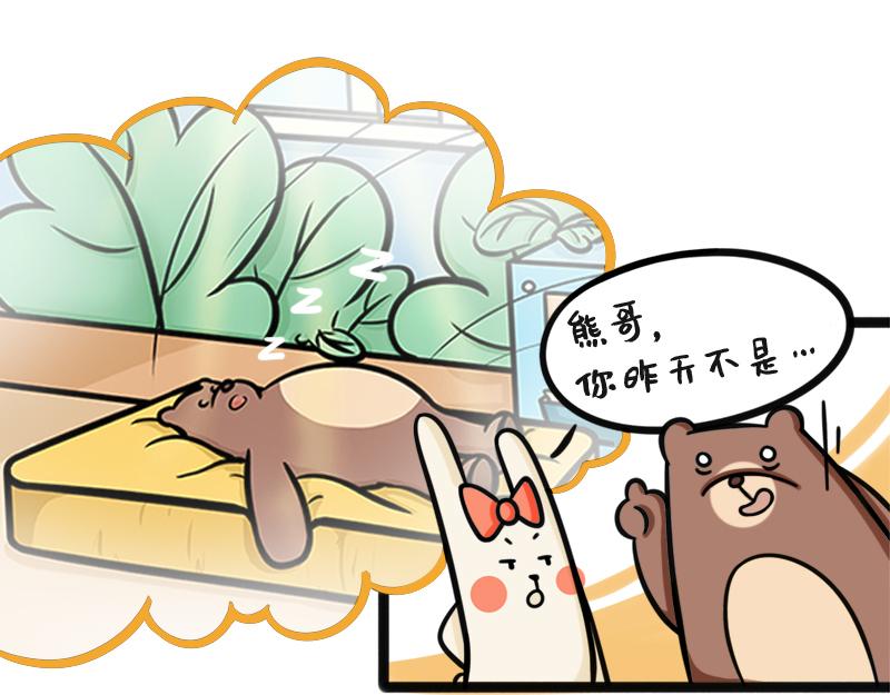 第4话 厉害的蒙泰熊-第4话