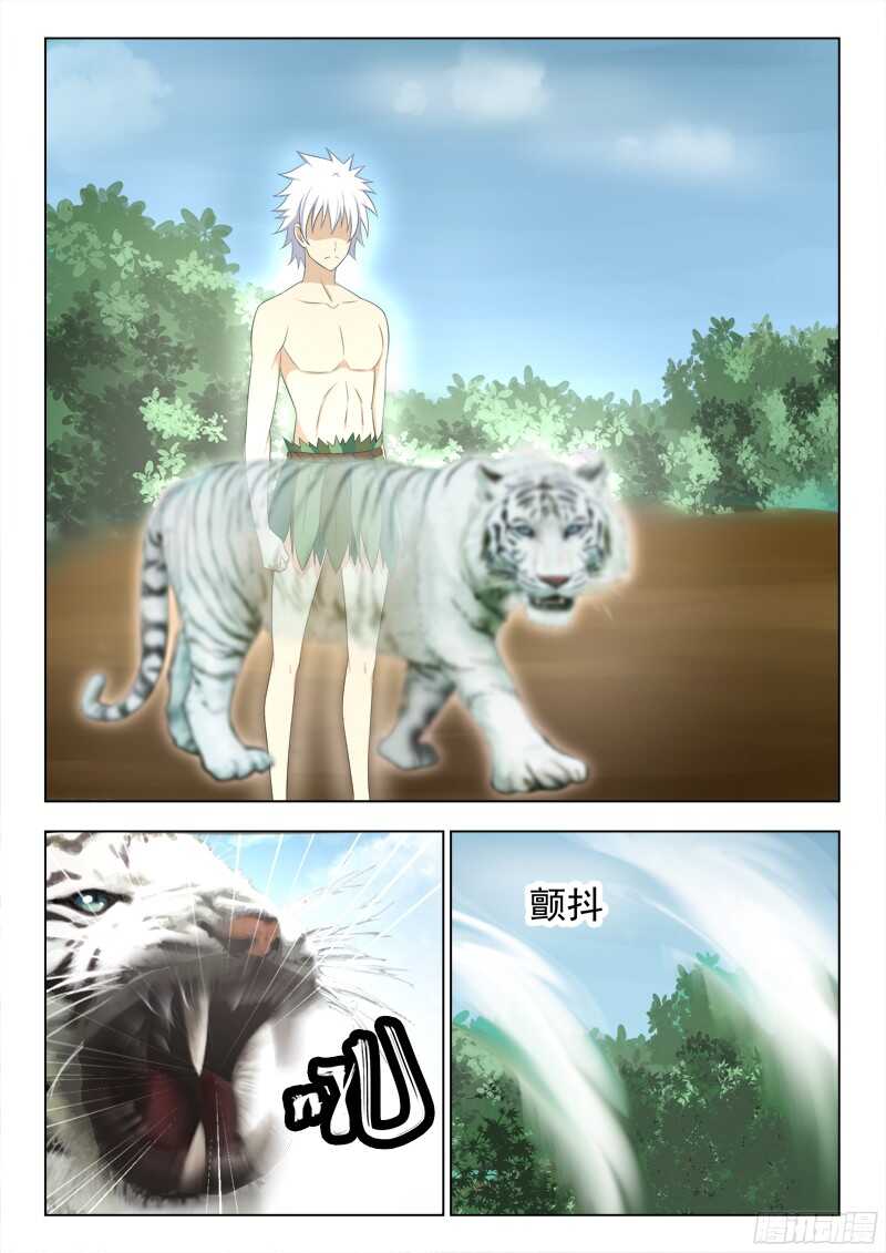 夜先生的店 - 229 白虎神獸 - 3