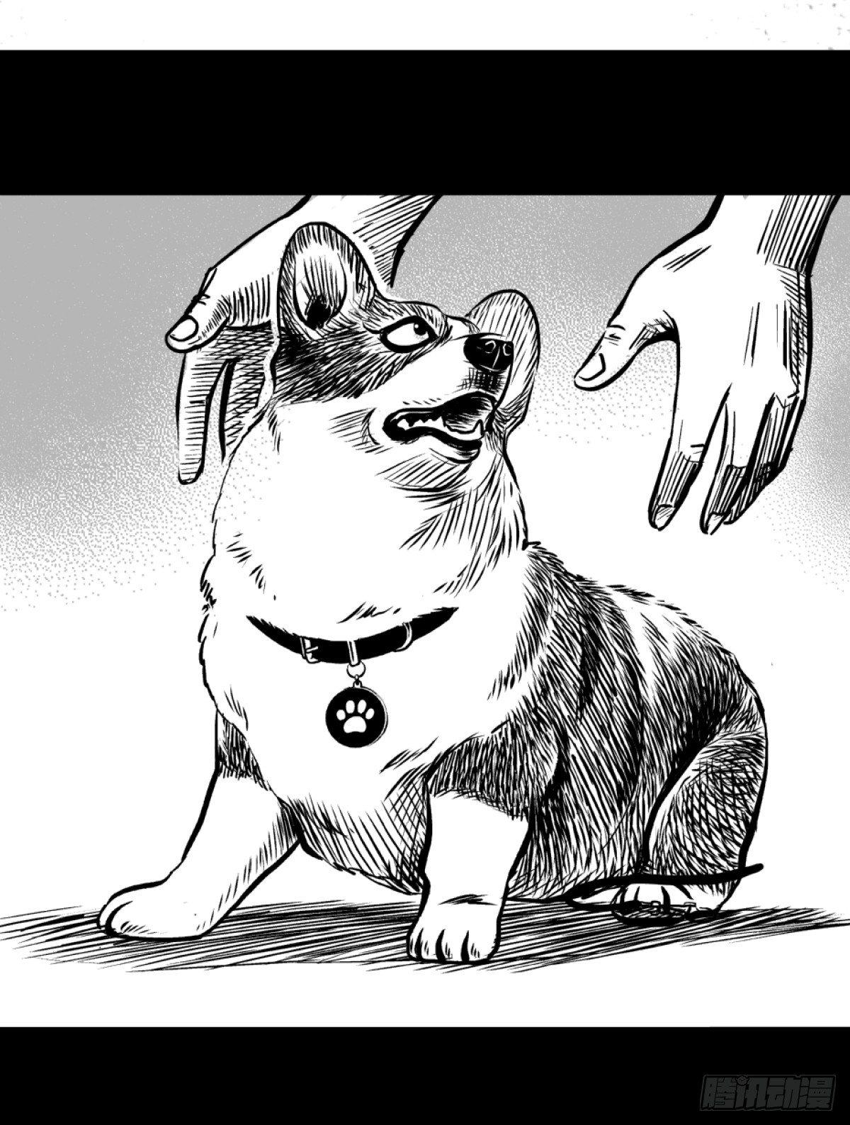 柯基公交车上抓色狼(1/2)-第4话