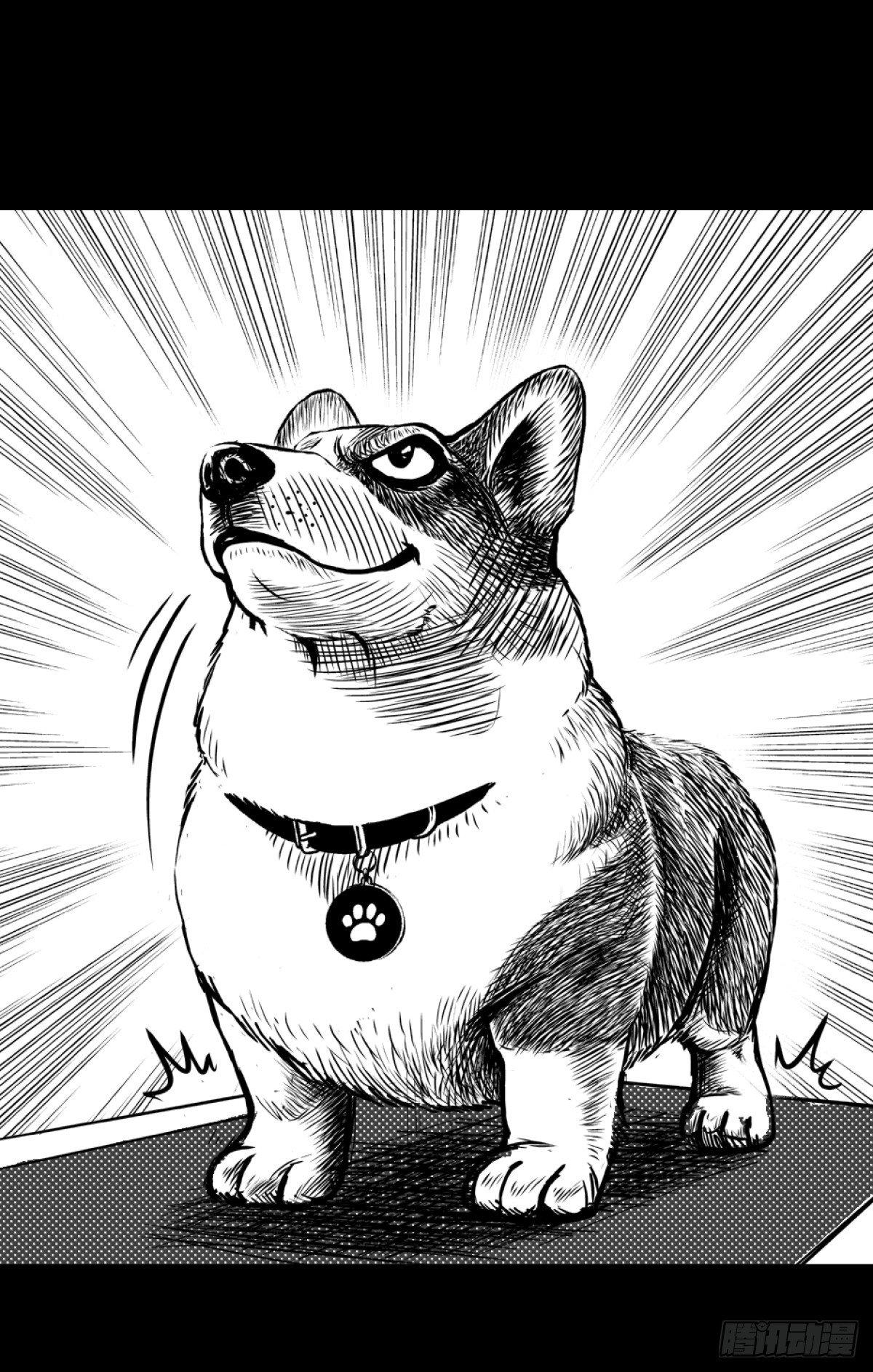 柯基公交车上抓色狼(1/2)-第6话