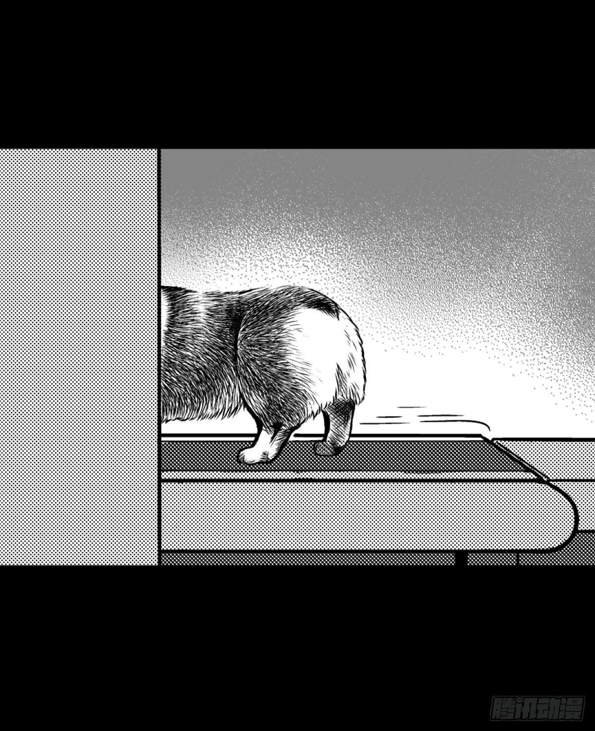 柯基公交车上抓色狼(1/2)-第6话