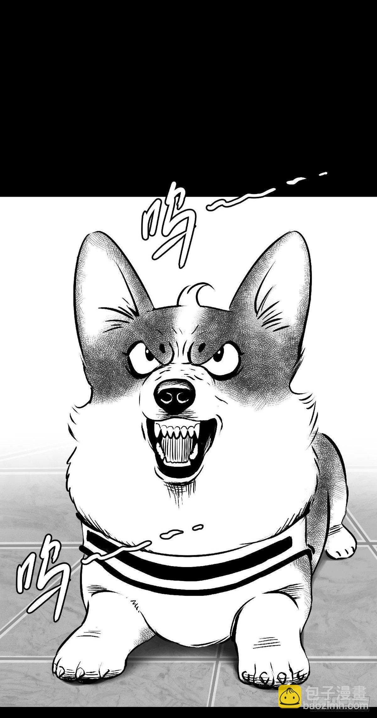 你别拽我裤子啊！(1/2)-第34话