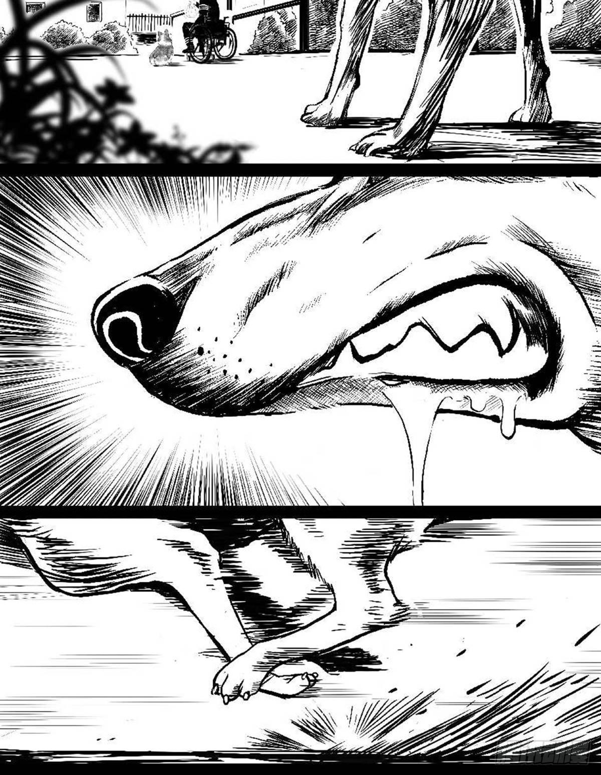 为抢根骨头我坐轮椅追了四条街(1/2)-第36话