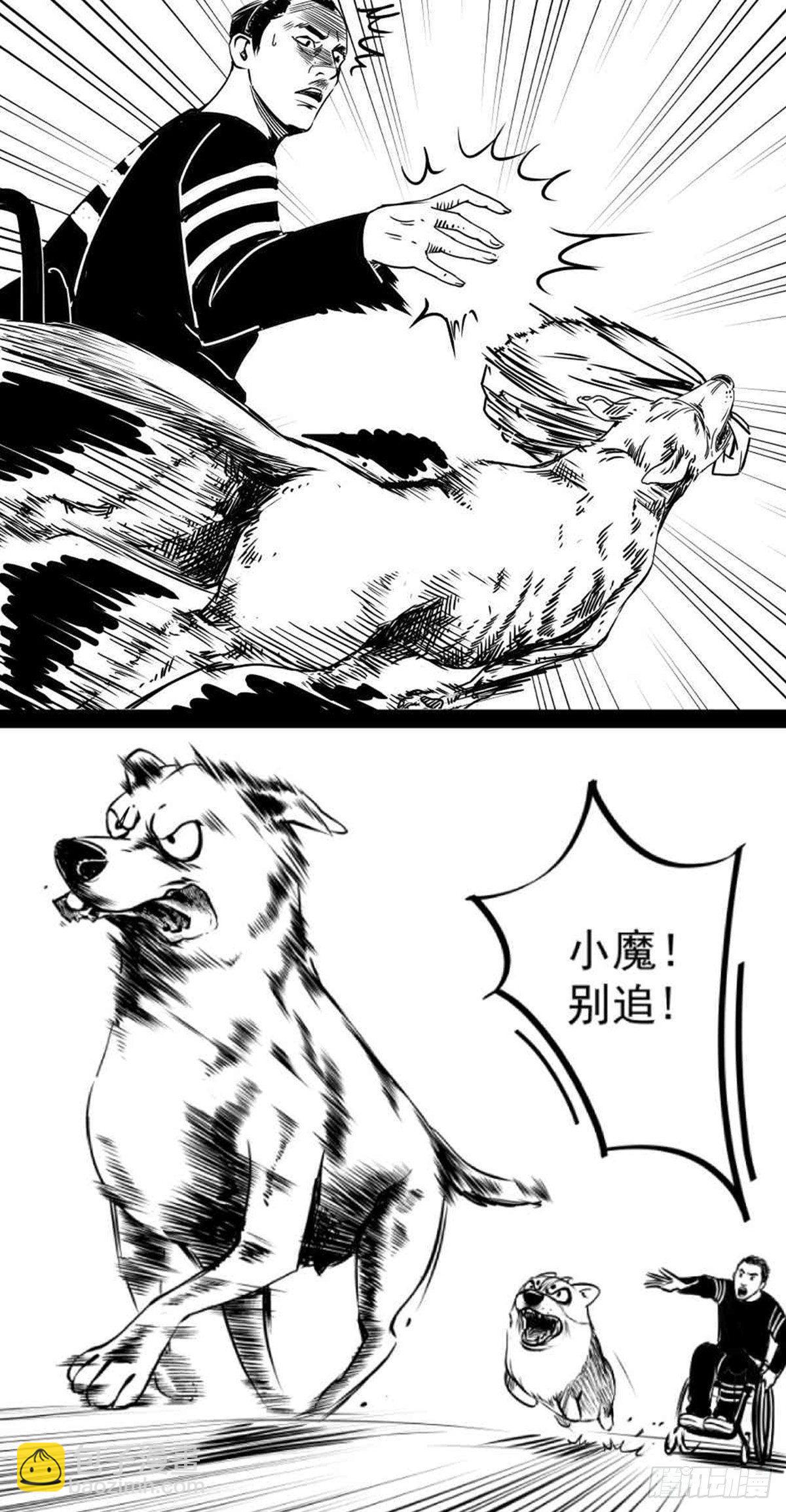 为抢根骨头我坐轮椅追了四条街(1/2)-第36话