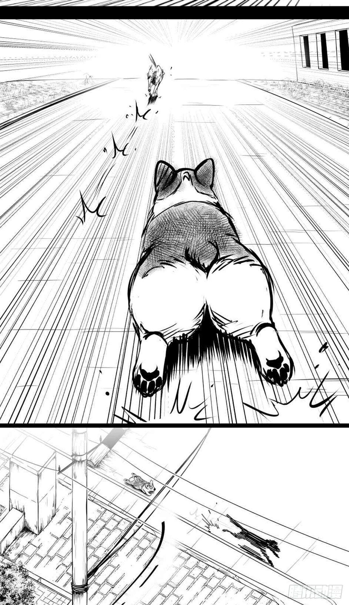 为抢根骨头我坐轮椅追了四条街(1/2)-第36话