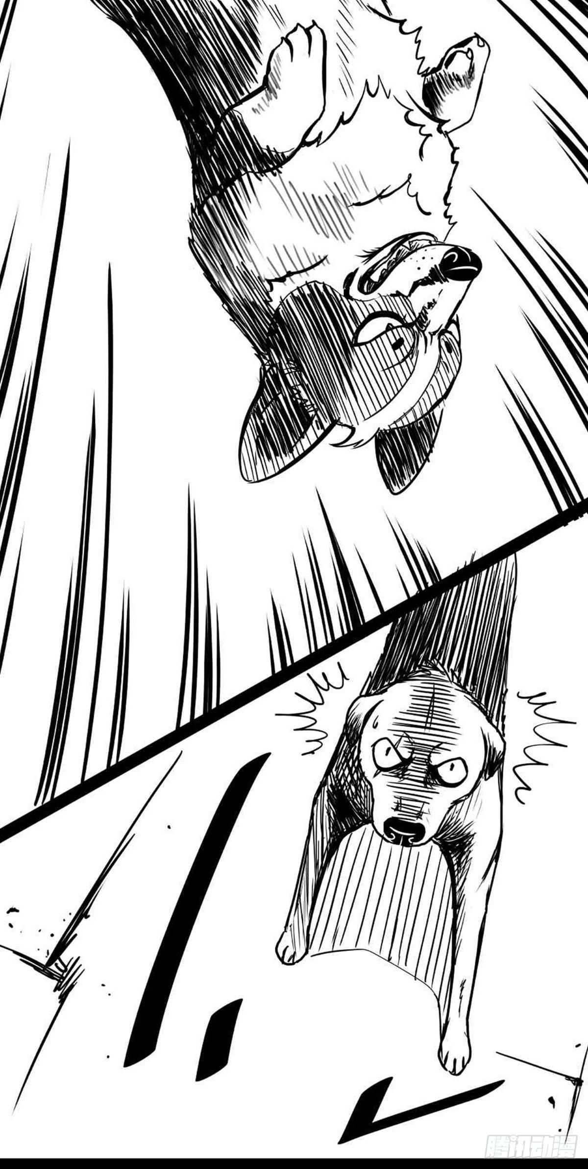 为抢根骨头我坐轮椅追了四条街(1/2)-第36话