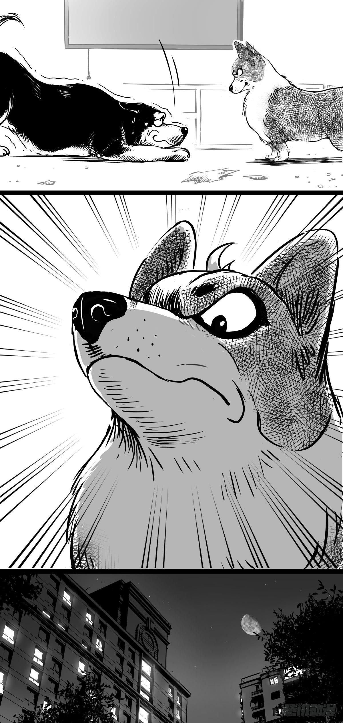 家里有矿啊，敢养哈士奇？(1/3)-第38话