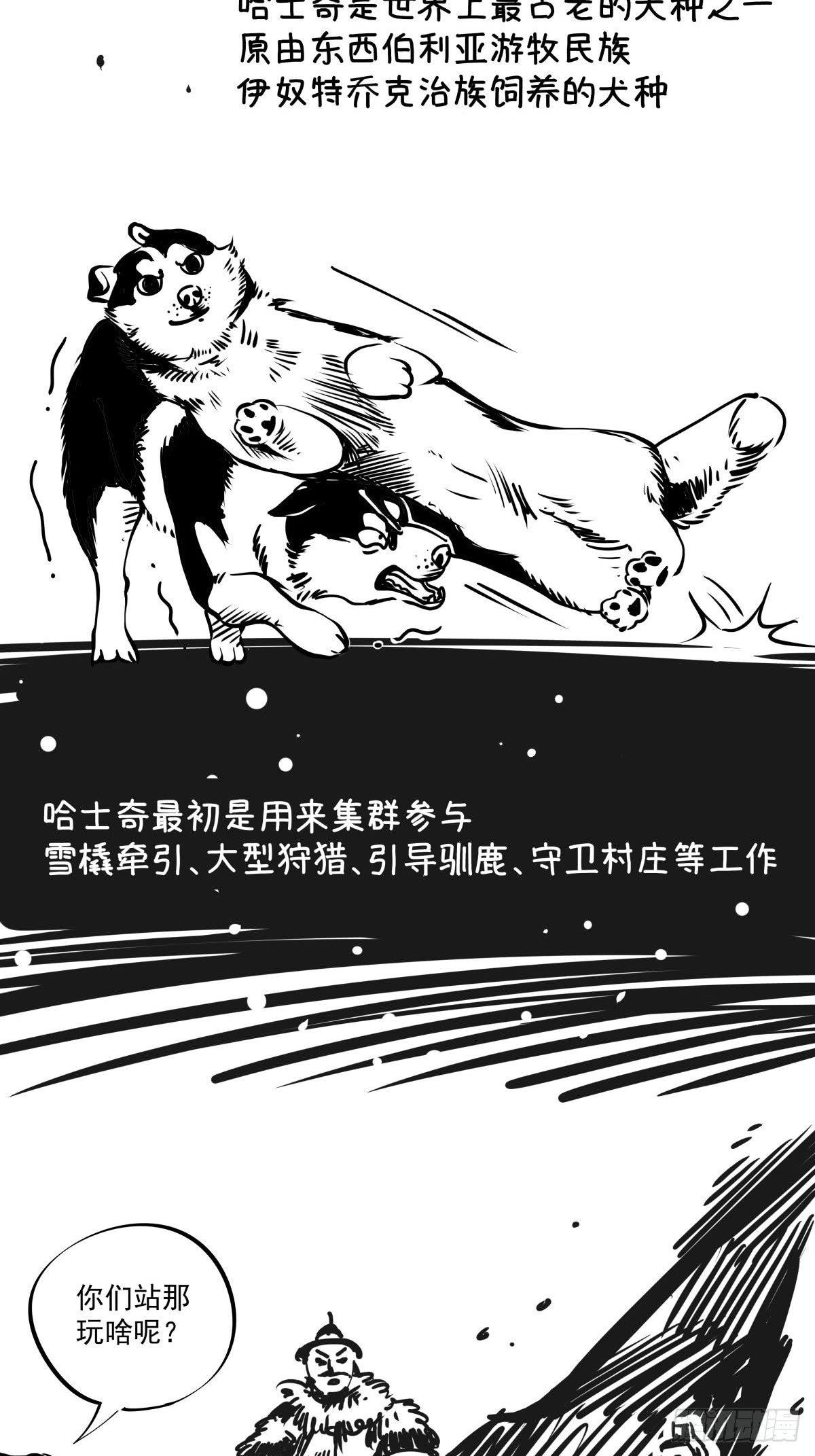 家里有矿啊，敢养哈士奇？(1/3)-第38话