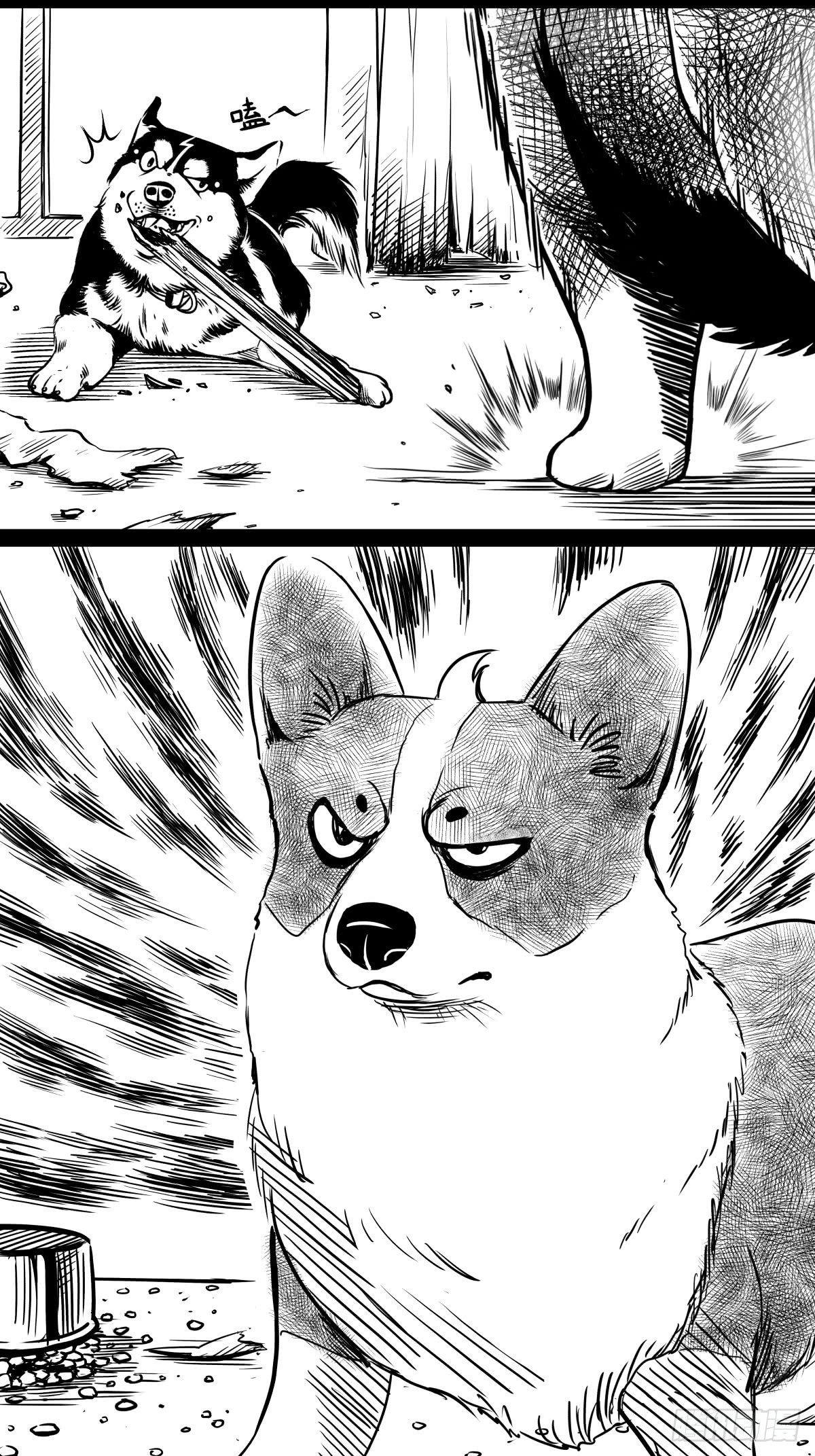 家里有矿啊，敢养哈士奇？(1/3)-第38话