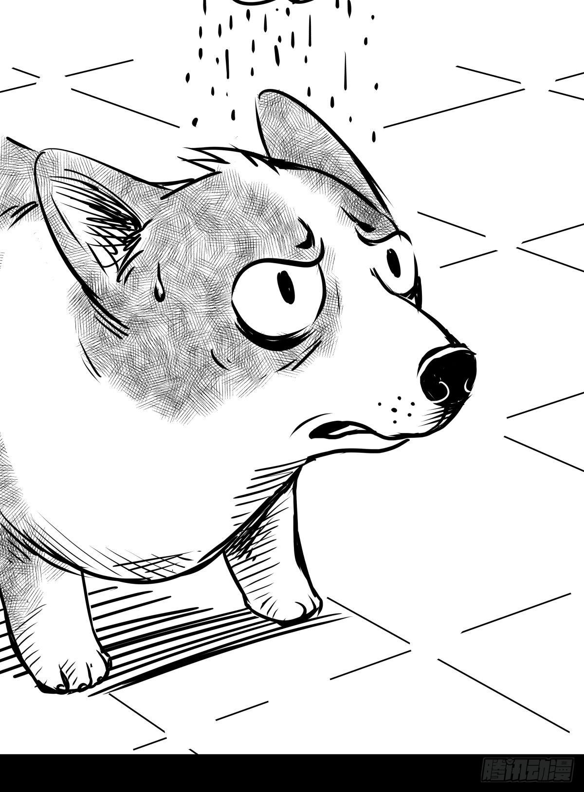 影室友(1/3)-第50话