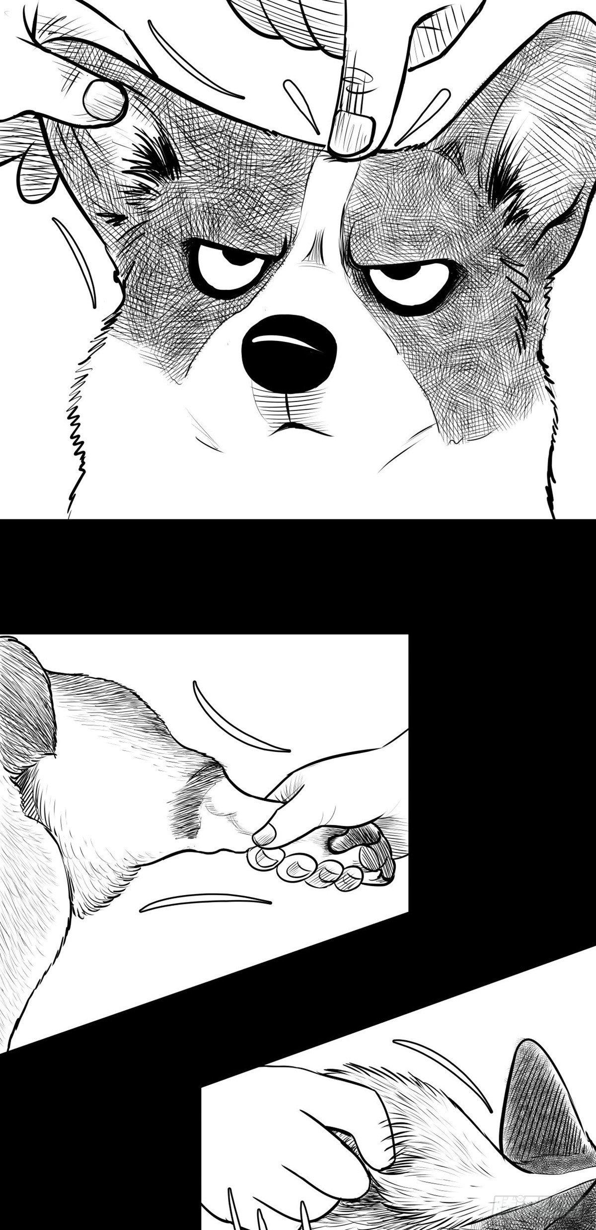 终于等到你(1/2)-第20话