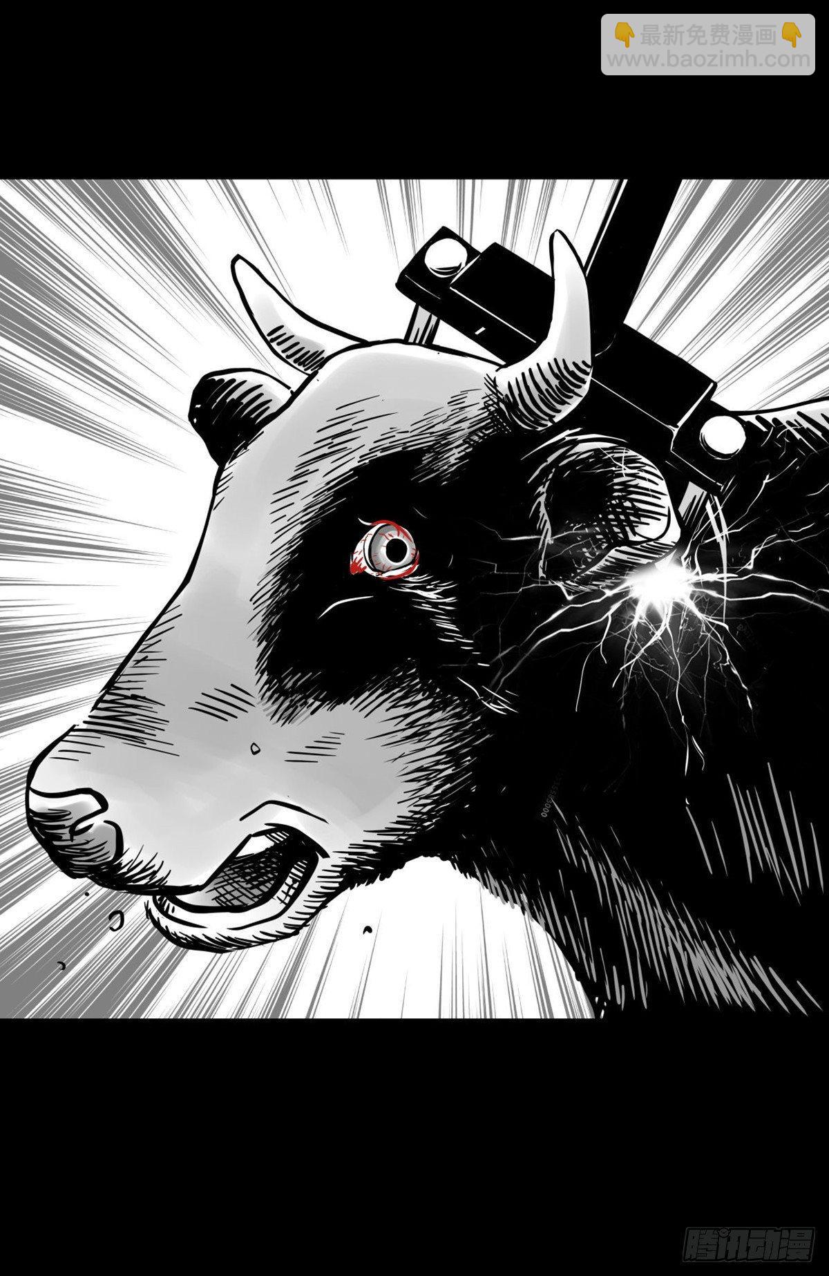 真的很绝望啊(1/2)-第24话