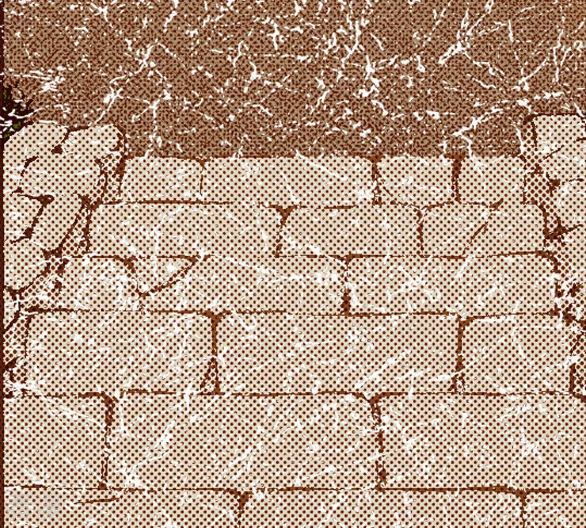 第148话 扭曲-第148话