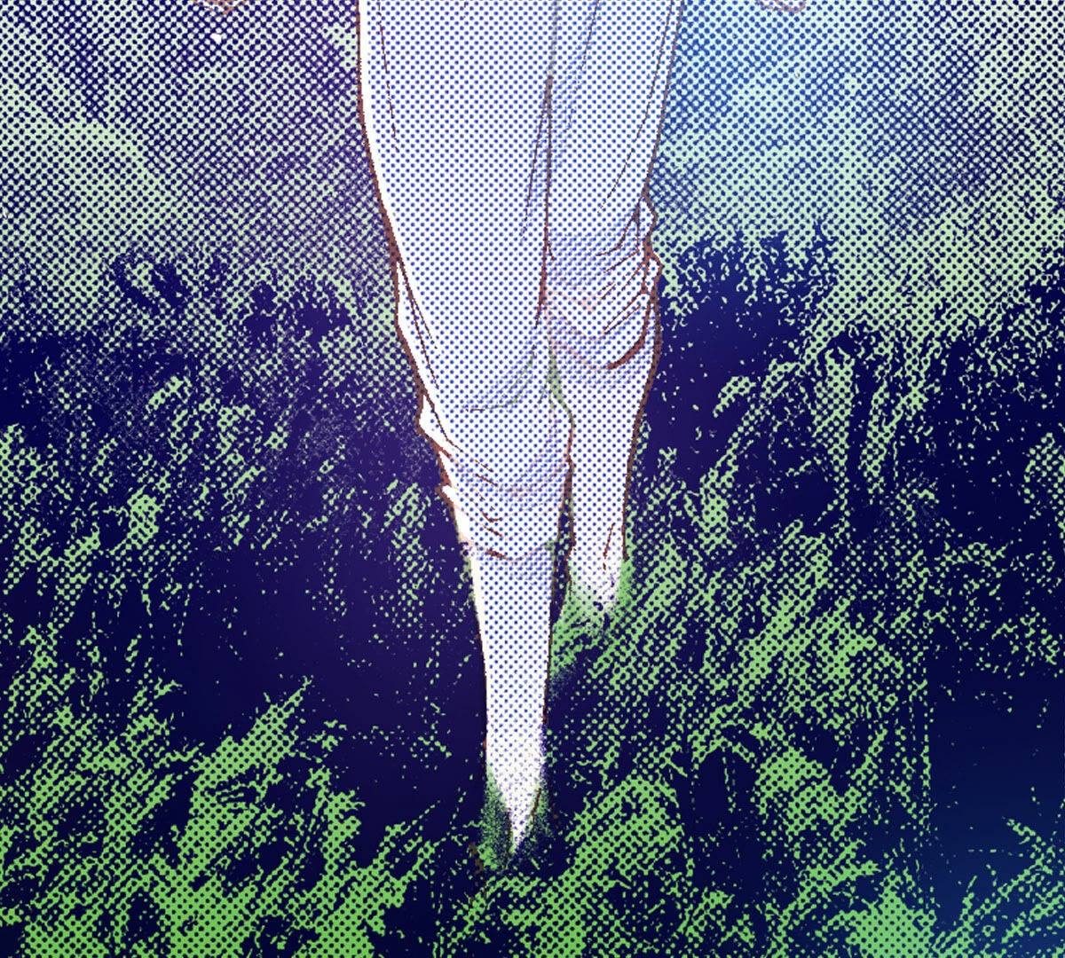 第254话 选择(1/2)-第256话