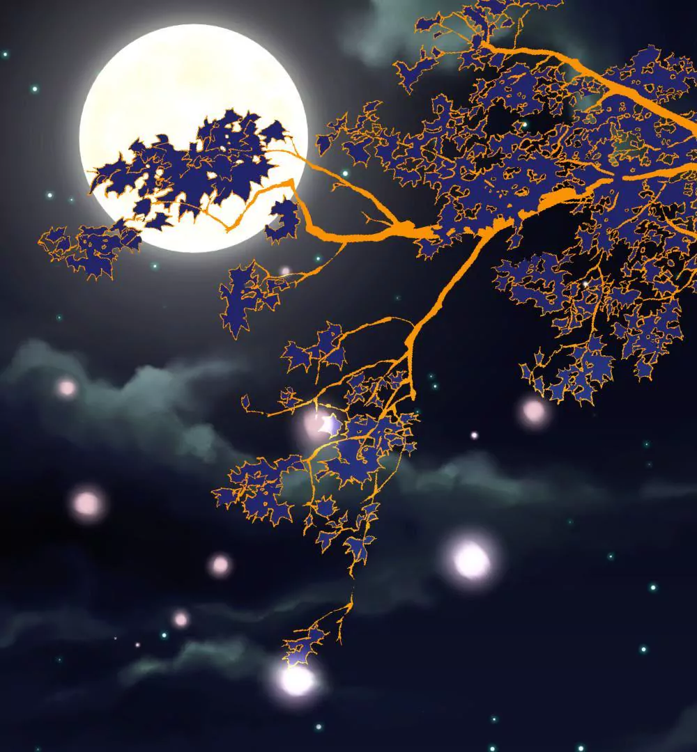 第14话 月圆月缺-第18话