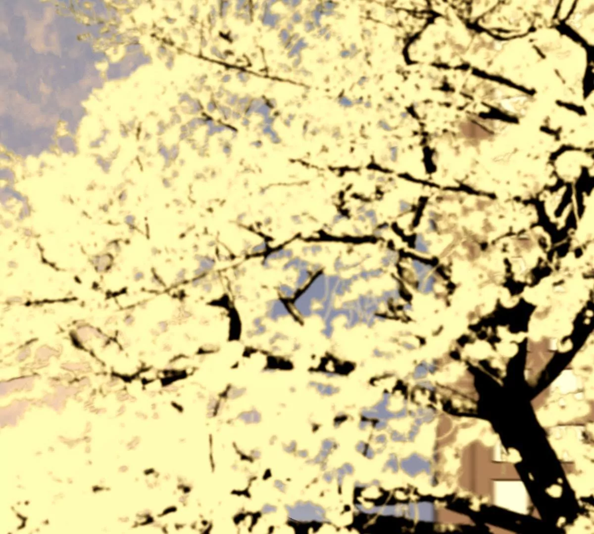 第32话 故相决绝(1/2)-第36话