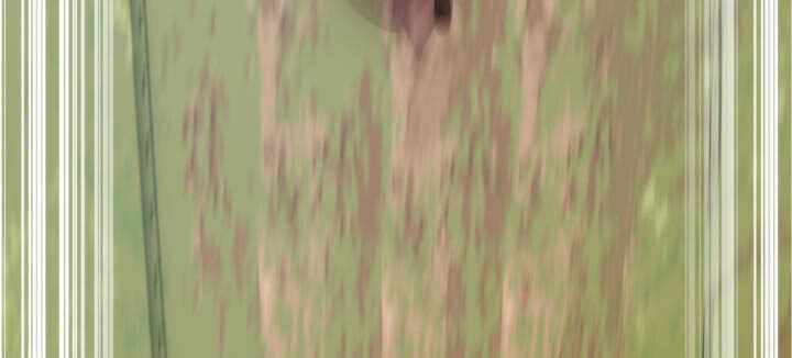 95话 夏夜，危险！(1/4)-第94话