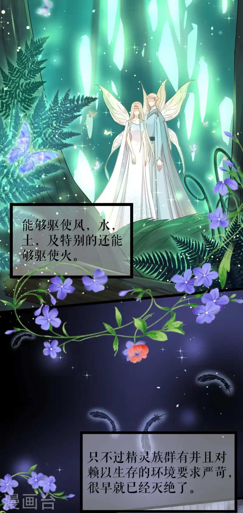 第37话 精灵之书-第38话
