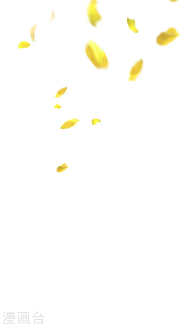 第37话 精灵之书-第38话